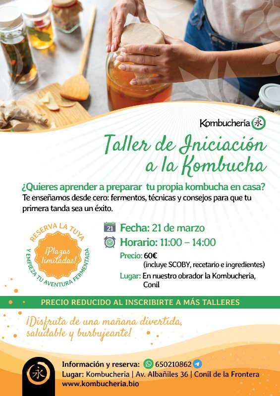 Taller de iniciación a la Kombucha