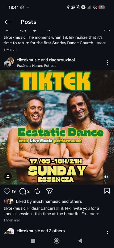 Tiktek ecstatic dance essencia